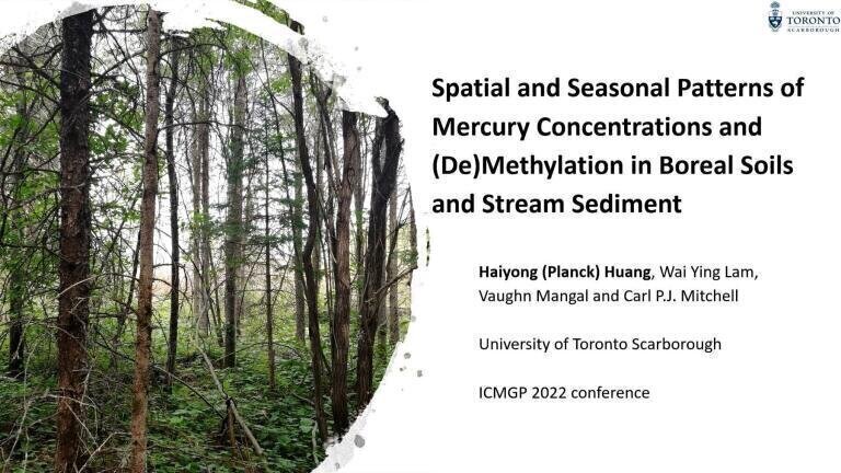 Spatial and Seasonal Patterns of Mercury Concentrations and (De)Methylation in Boreal Soils and Stream Sediment